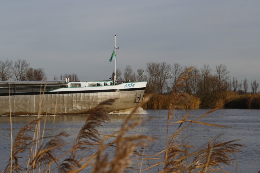 Getreide-Dampfer  Str  schippert bei Wewelsfleth aus Itzehoe kommend in Richtung Elbe